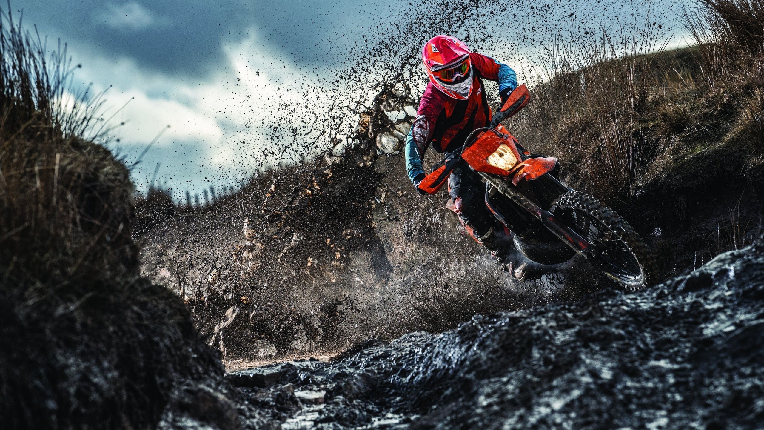 世界杯年度数据报告：非洲球队高强度冲刺次数最多 “爆发型跑动”显著